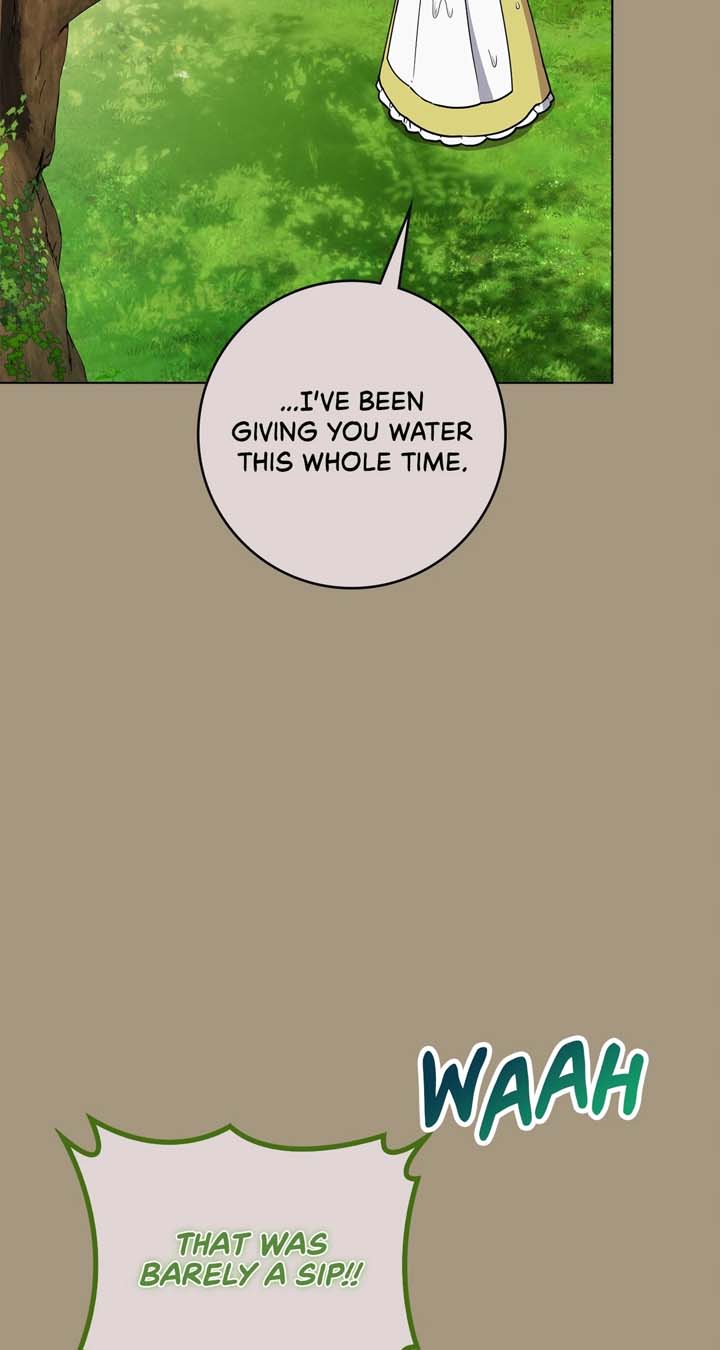 The Beloved Gardener of the World Tree Chapter 7 352 012