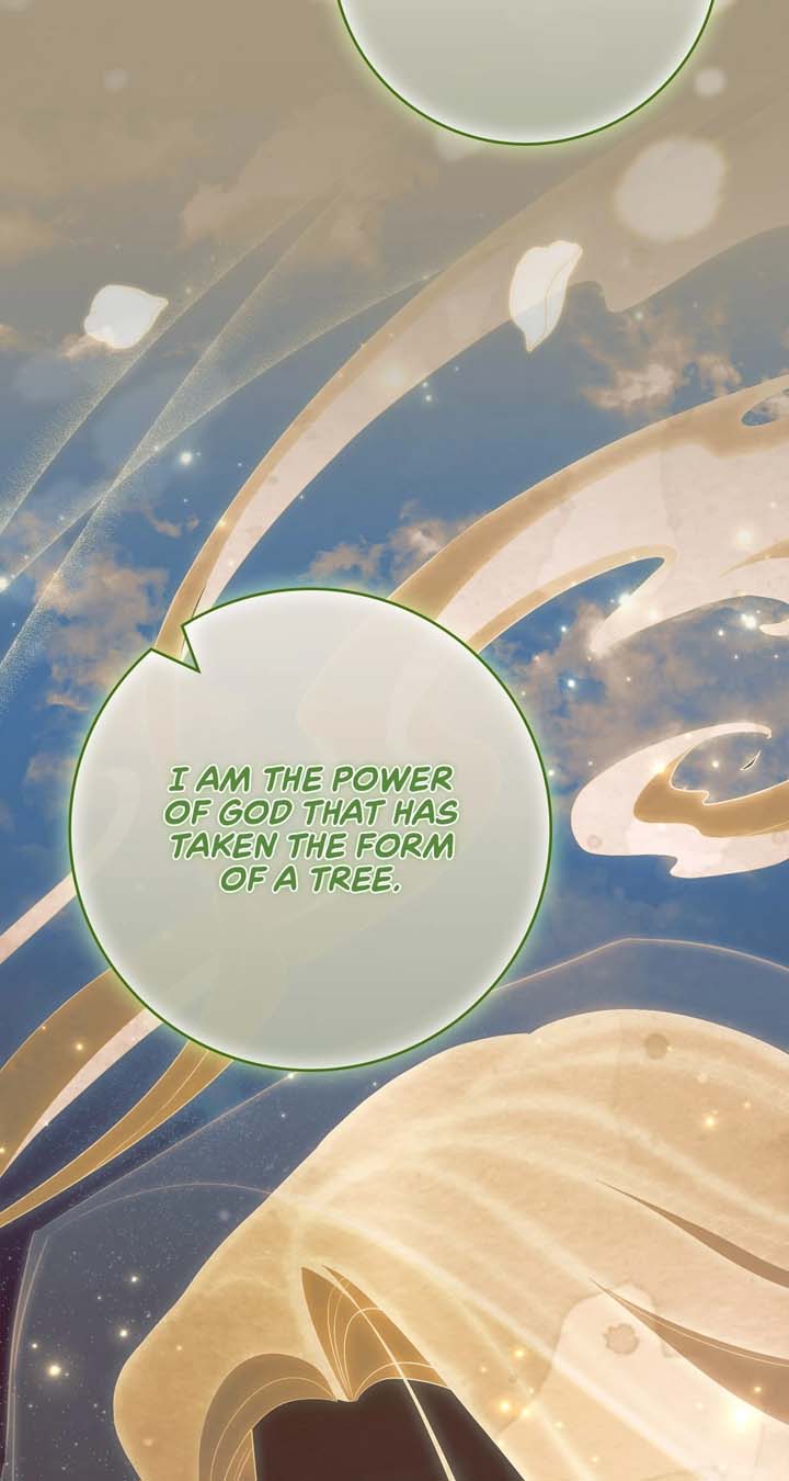 The Beloved Gardener of the World Tree Chapter 7 361 021