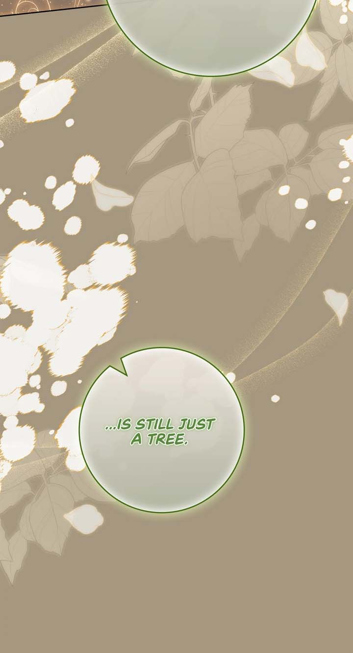 The Beloved Gardener of the World Tree Chapter 7 363 023