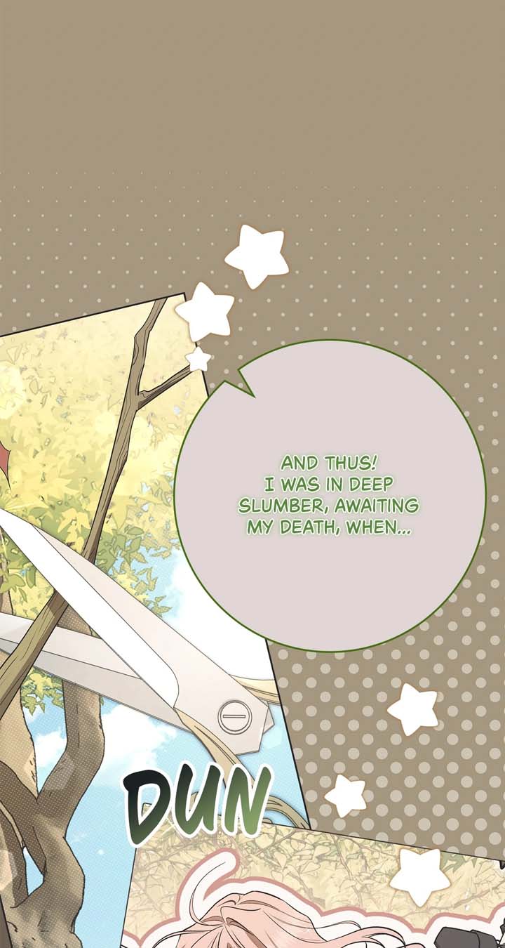 The Beloved Gardener of the World Tree Chapter 7 371 031