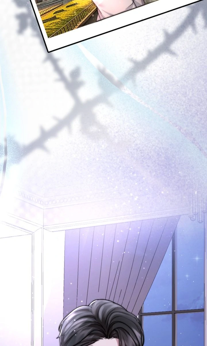 The Billionaire’s Replacement Wife Chapter 19 259 ch 19 42