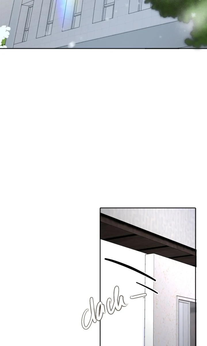 The Billionaire’s Replacement Wife Chapter 19 266 ch 19 49