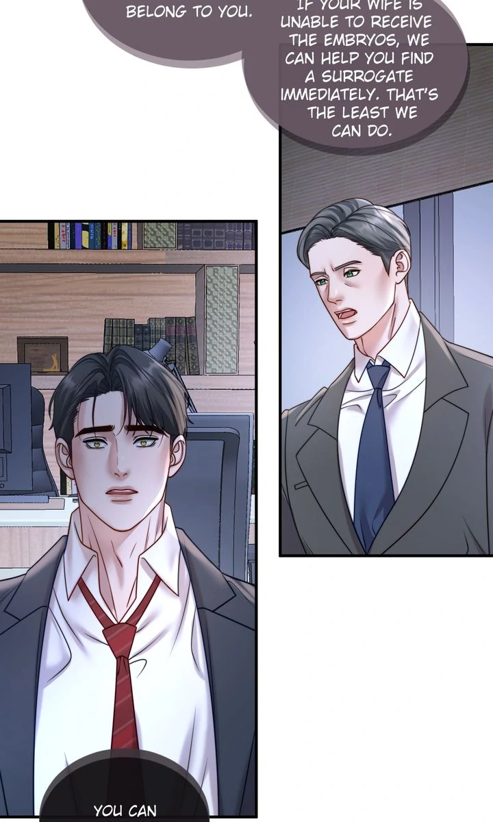 The Billionaire’s Replacement Wife Chapter 25 211 ch 25 24