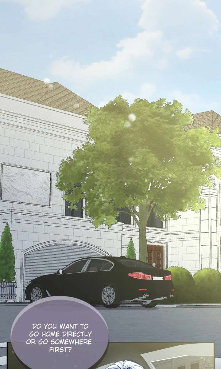 The Billionaire’s Replacement Wife Chapter 62 236 37