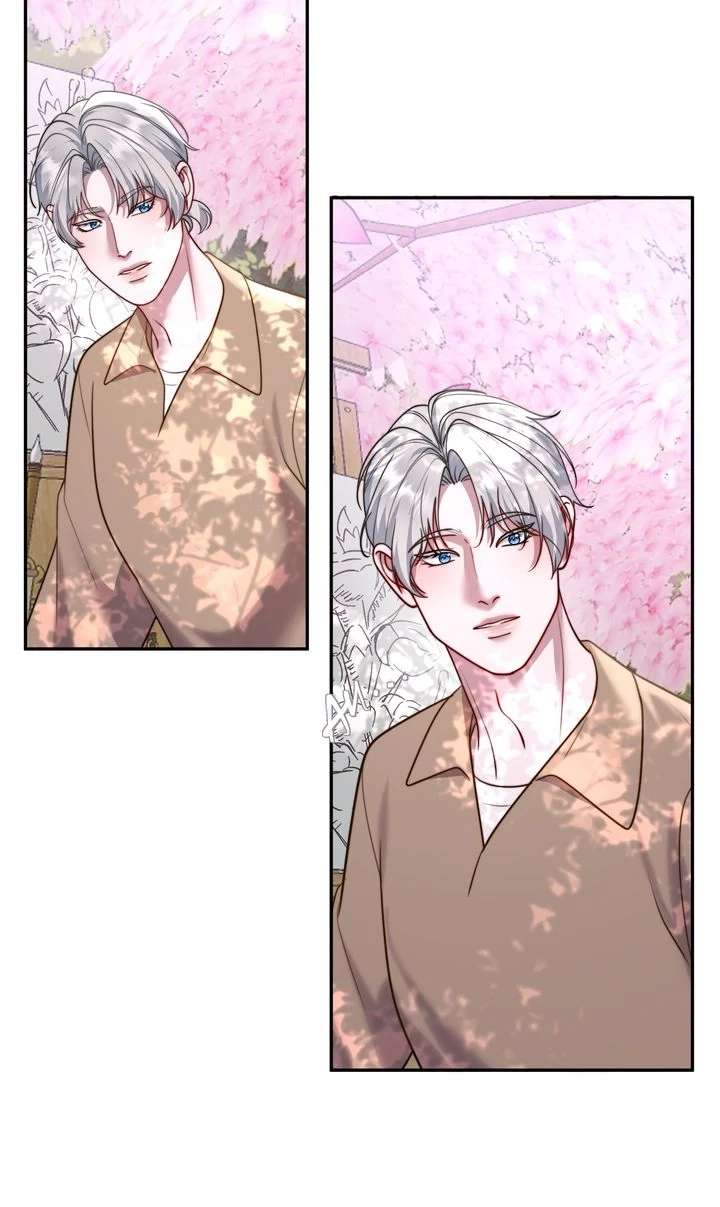 The Billionaire’s Replacement Wife Chapter 63 235 30