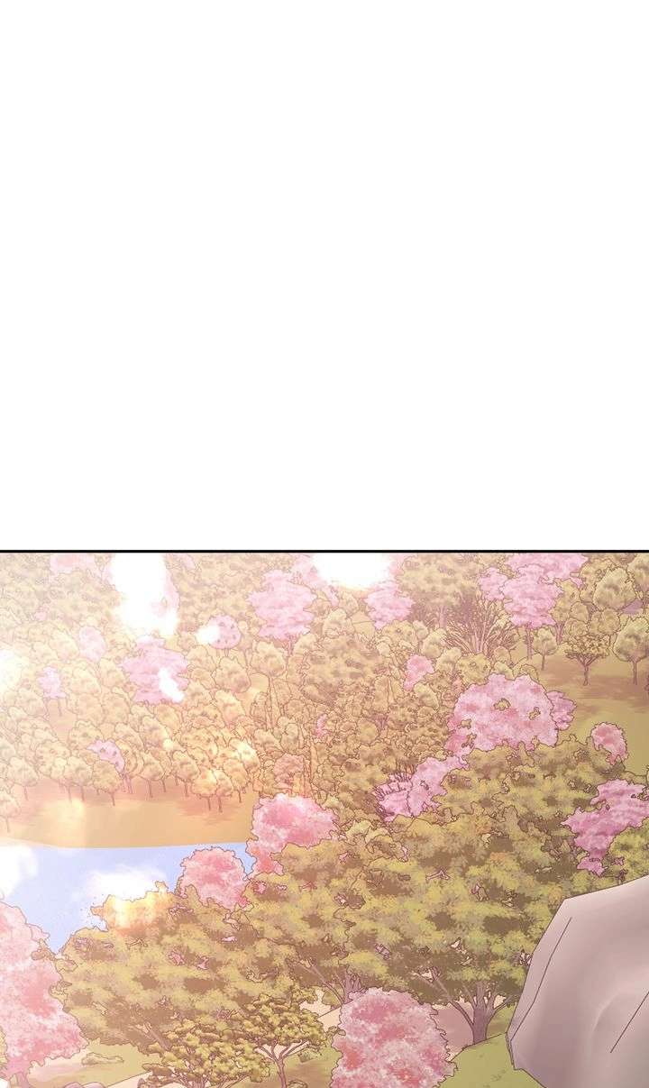 The Billionaire’s Replacement Wife Chapter 63 252 47