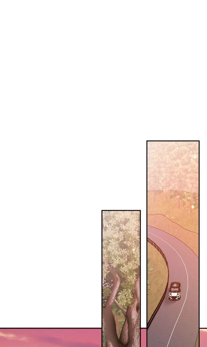 The Billionaire’s Replacement Wife Chapter 63 254 49