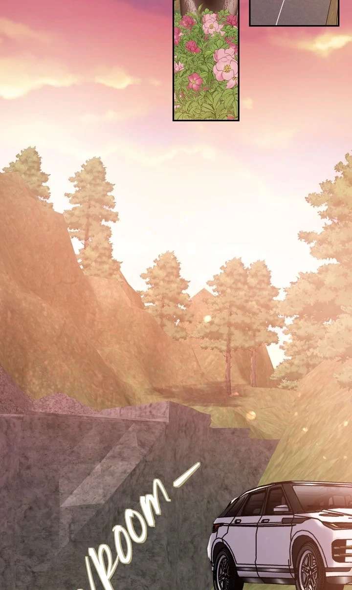 The Billionaire’s Replacement Wife Chapter 63 255 50