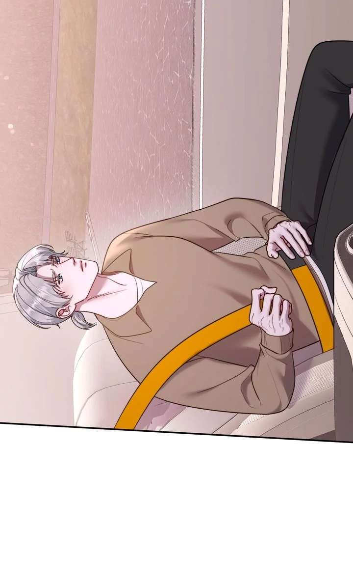 The Billionaire’s Replacement Wife Chapter 64 250 48