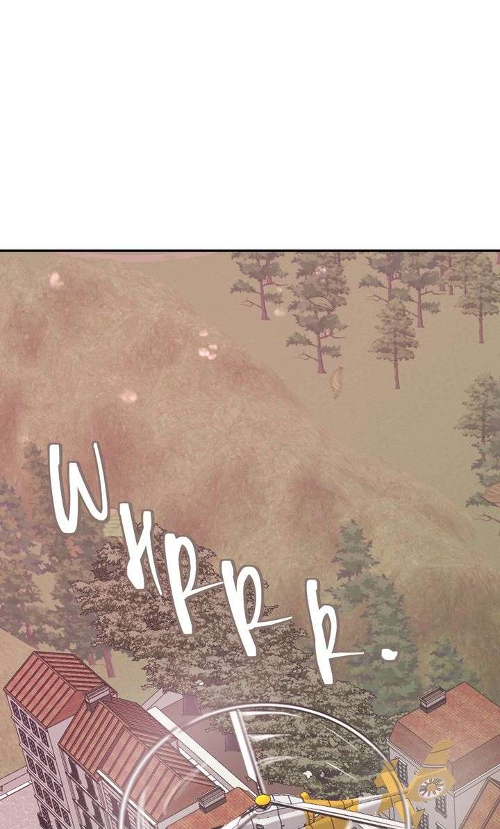 The Billionaire’s Replacement Wife Chapter 64 253 51