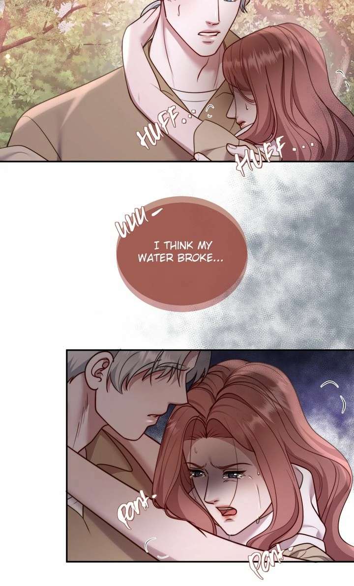 The Billionaire’s Replacement Wife Chapter 64 208 6