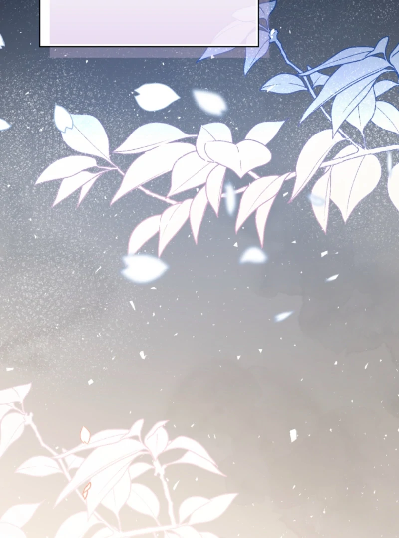 The Blackened Second Male Lead’s Wife Series Chapter 102 392 079