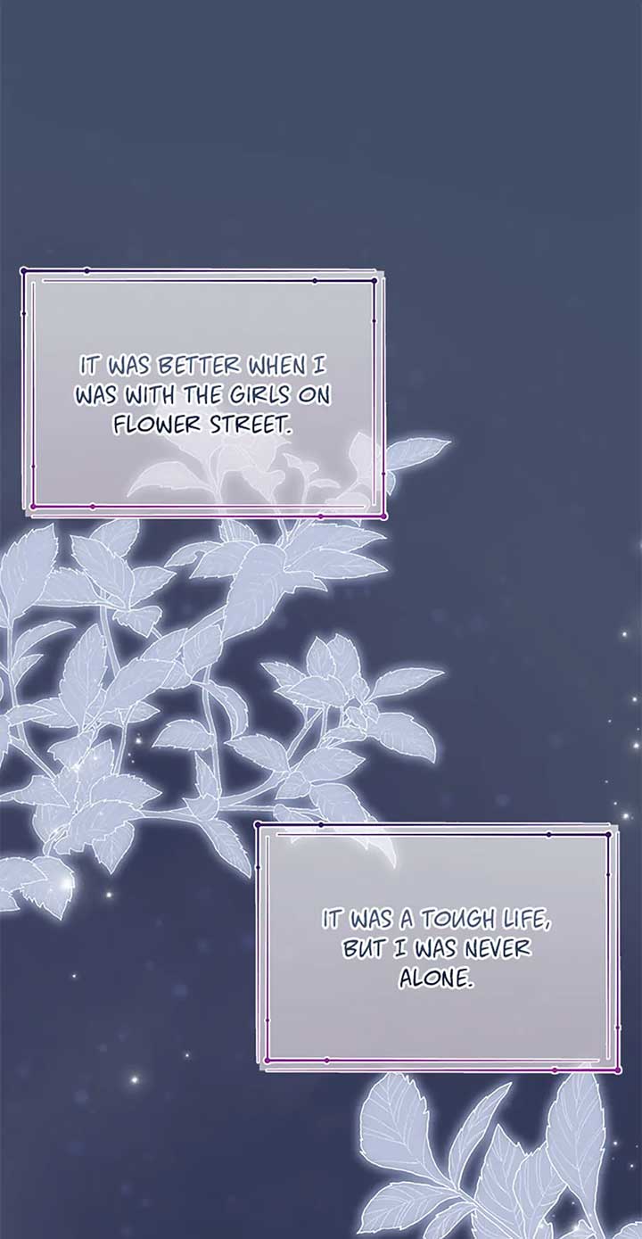 The Blooming Violet in the Back Garden Chapter 41 372 83