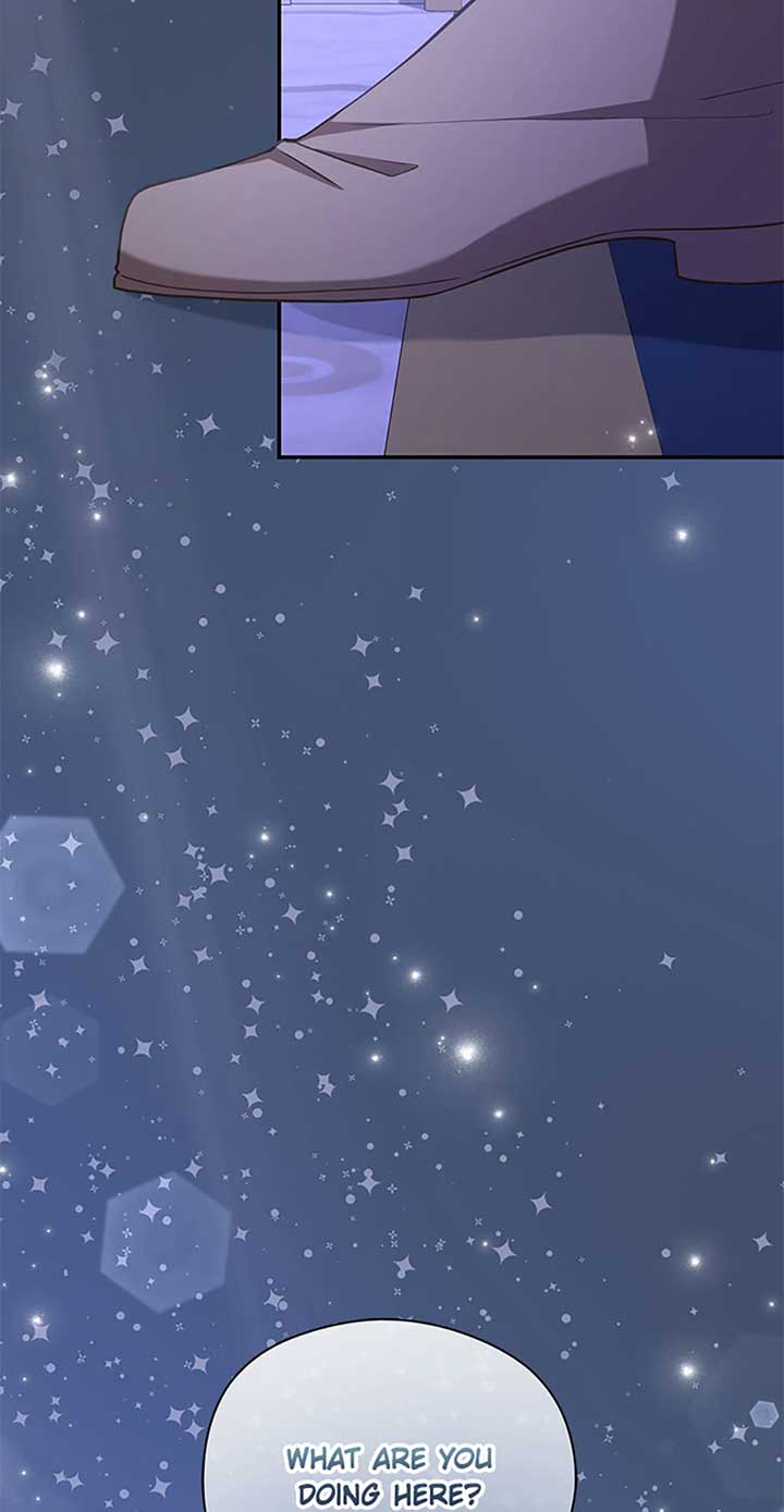 The Blooming Violet in the Back Garden Chapter 41 376 87