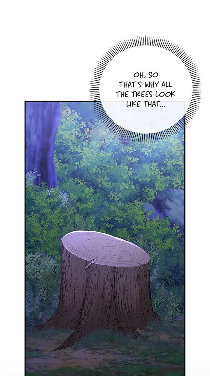 The Blooming Violet in the Back Garden Chapter 42 339 50