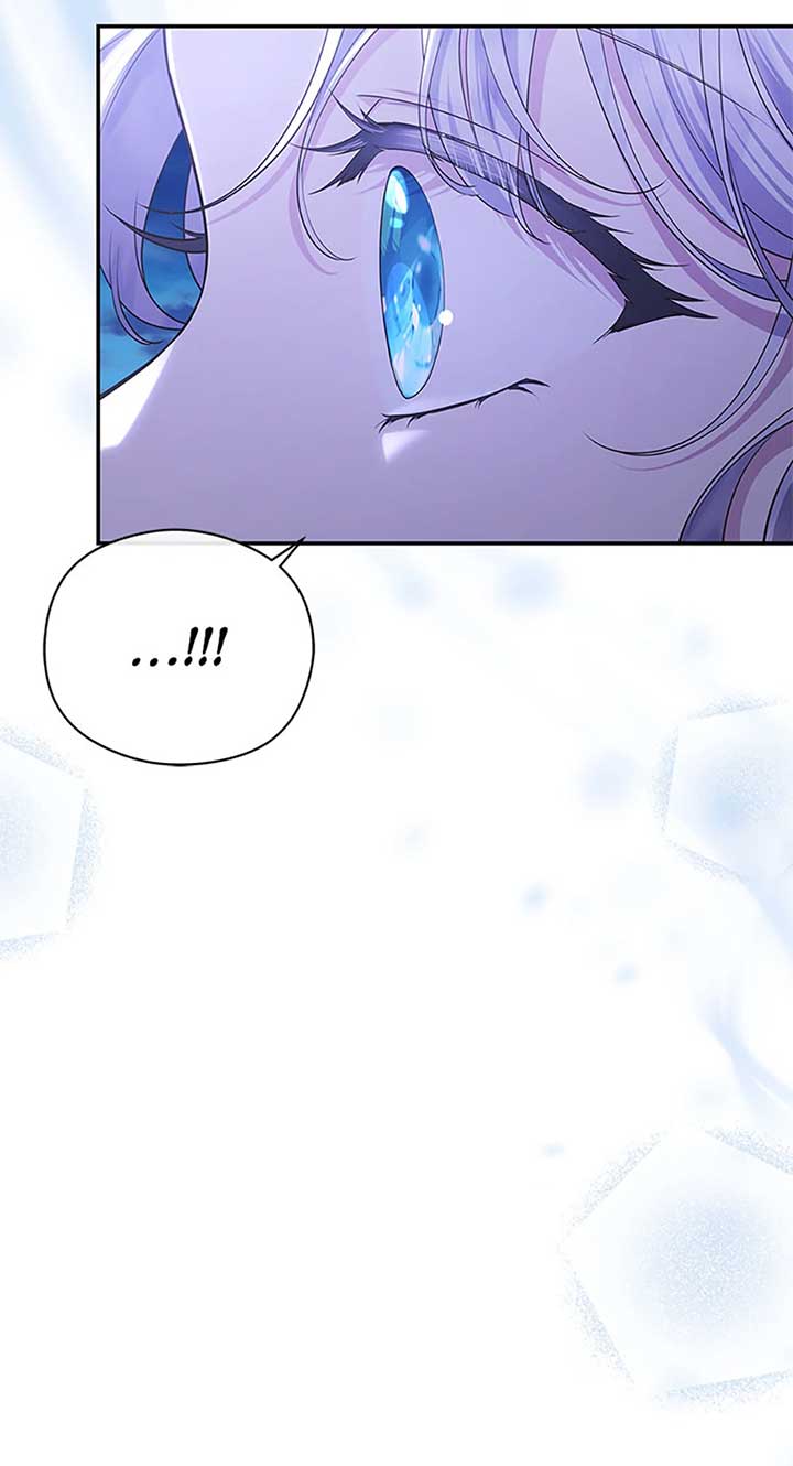 The Blooming Violet in the Back Garden Chapter 42 355 66