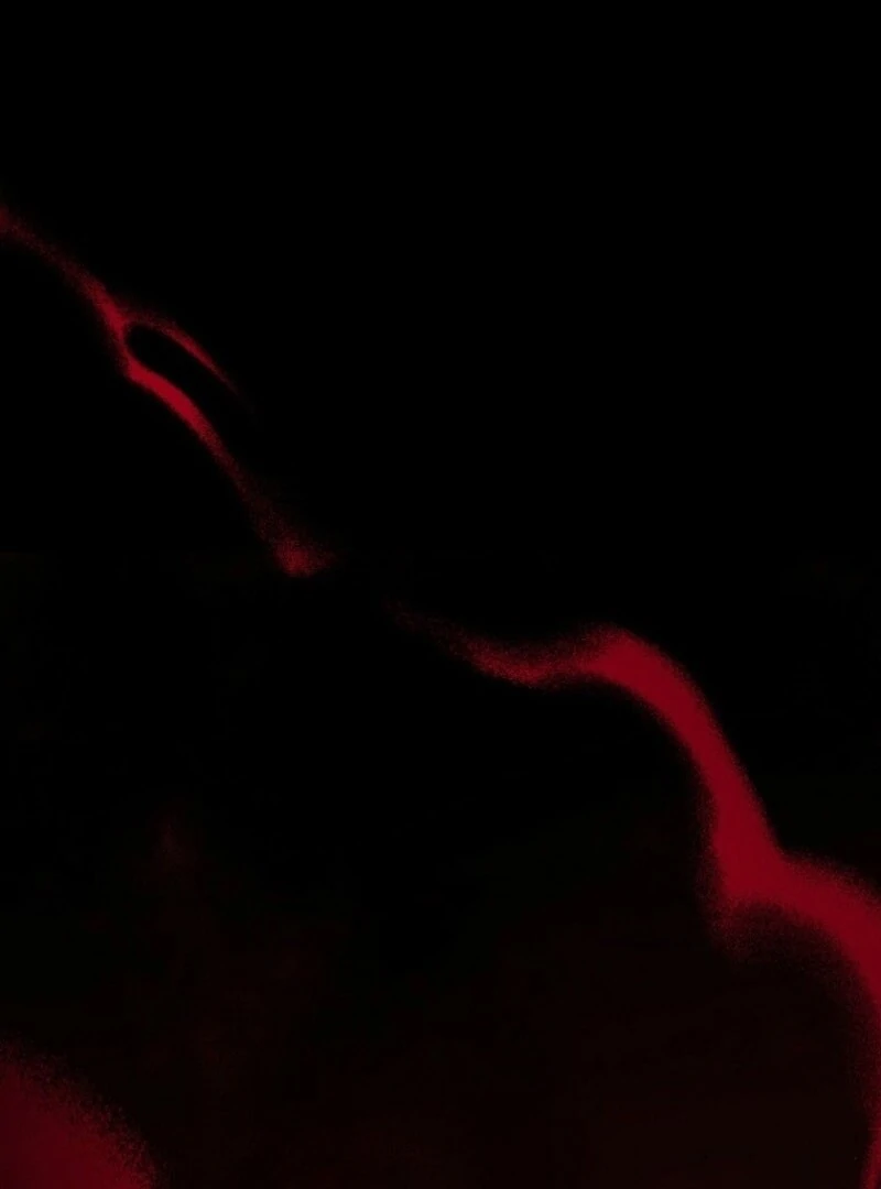 The Blooming Violet in the Back Garden Chapter 63 512 082