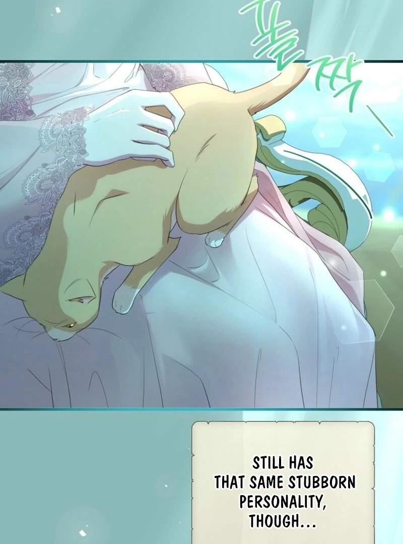 The Blooming Violet in the Back Garden Chapter 63 550 120