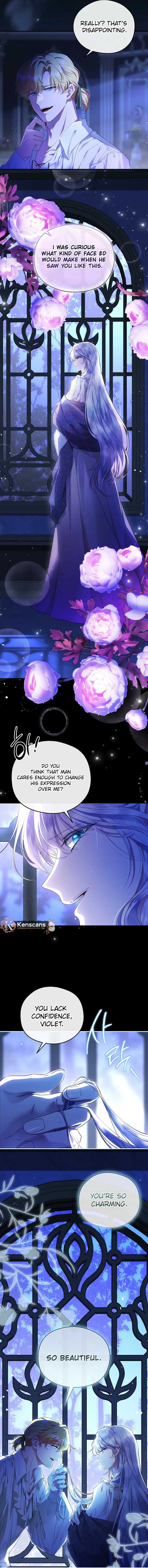 The Blooming Violet in the Back Garden Chapter 67 80 16