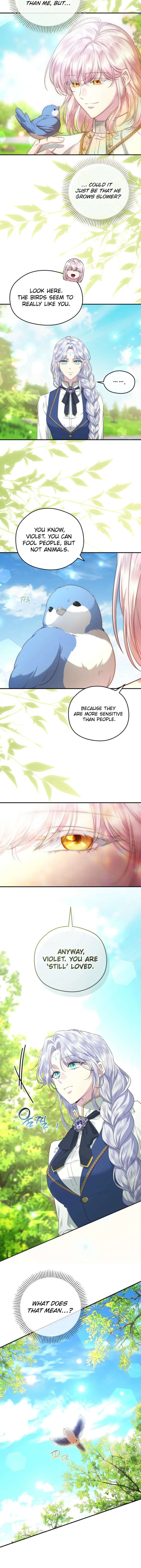 The Blooming Violet in the Back Garden Chapter 70 64 06