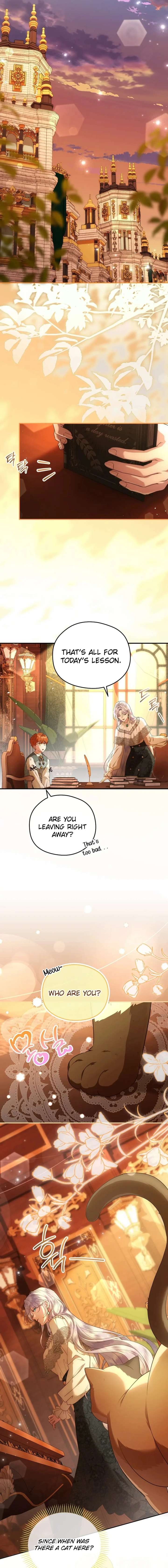 The Blooming Violet in the Back Garden Chapter 72 72 11