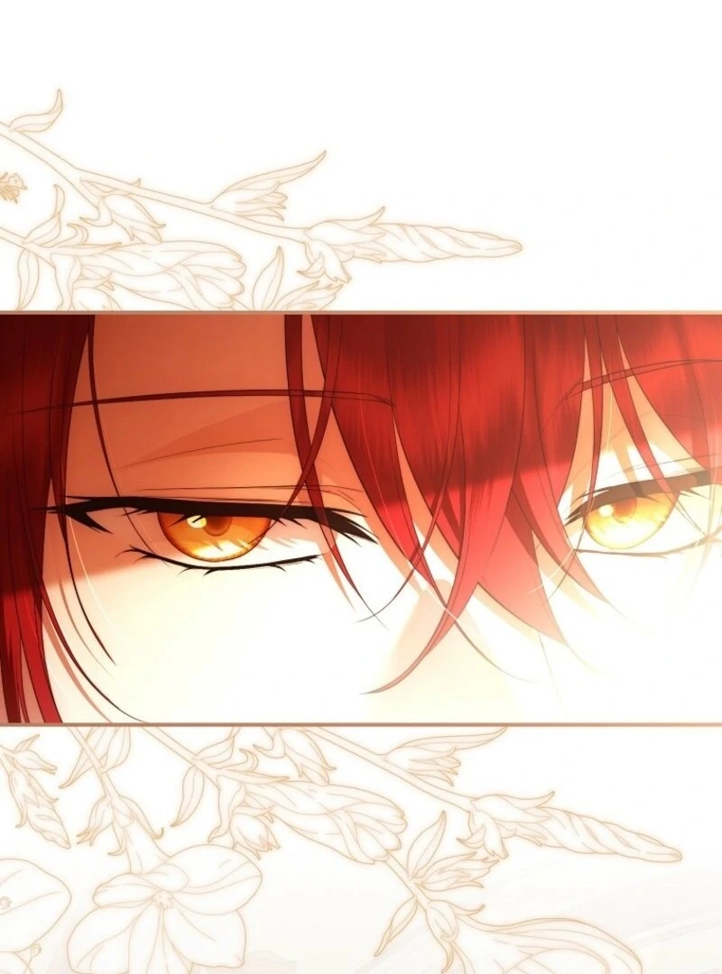 The Blooming Violet in the Back Garden Chapter 75 488 022