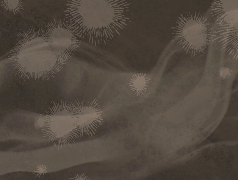 The Blooming Violet in the Back Garden Chapter 75 536 070