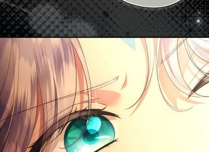 The Blooming Violet in the Back Garden Chapter 75 562 096