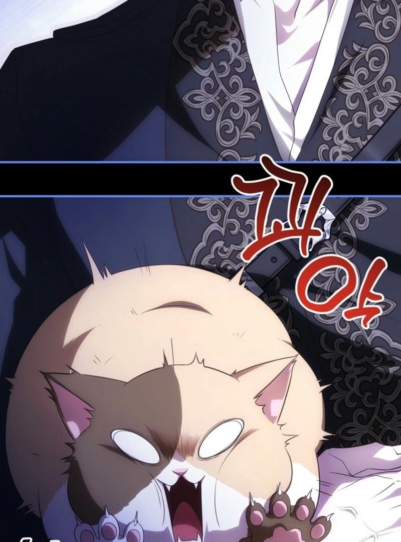 The Blooming Violet in the Back Garden Chapter 75 612 146