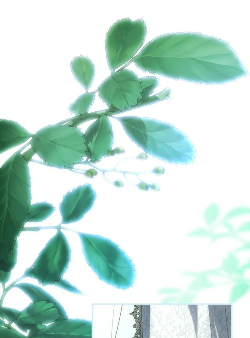 The Blooming Violet in the Back Garden Chapter 76 438 038