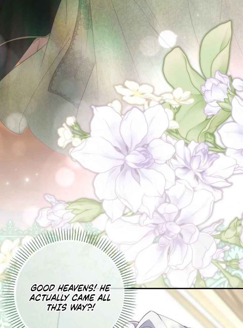 The Blooming Violet in the Back Garden Chapter 76 464 064