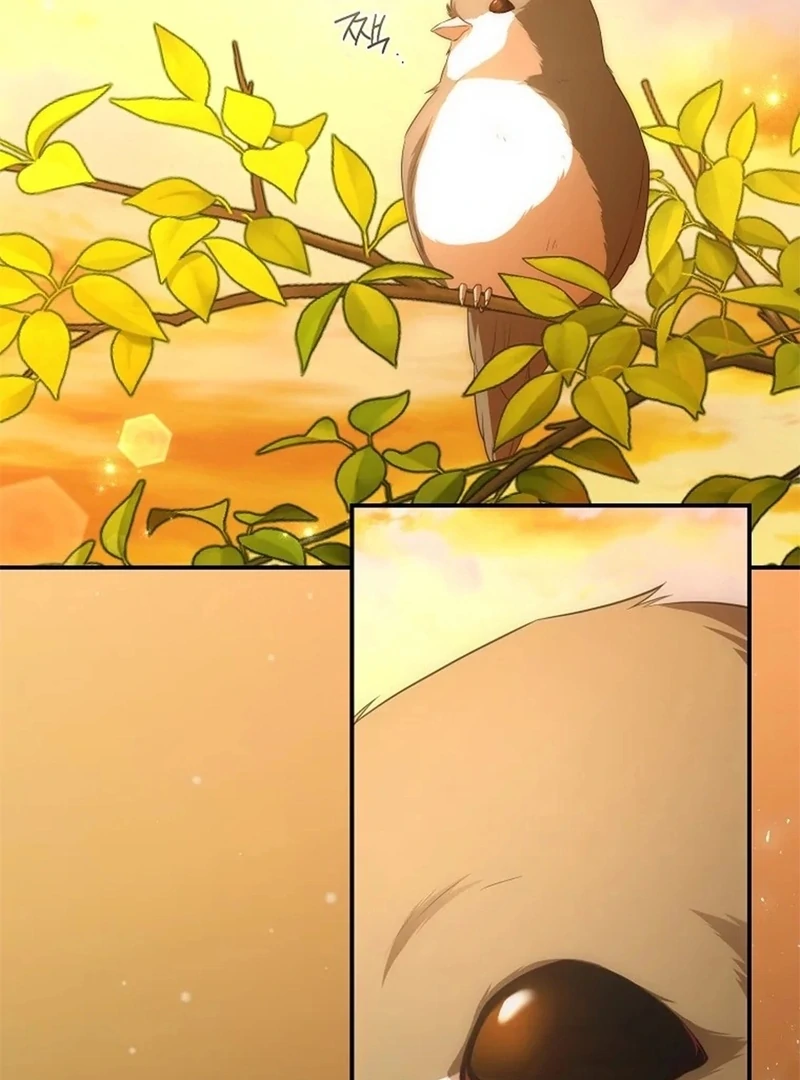 The Blooming Violet in the Back Garden Chapter 77 520 063