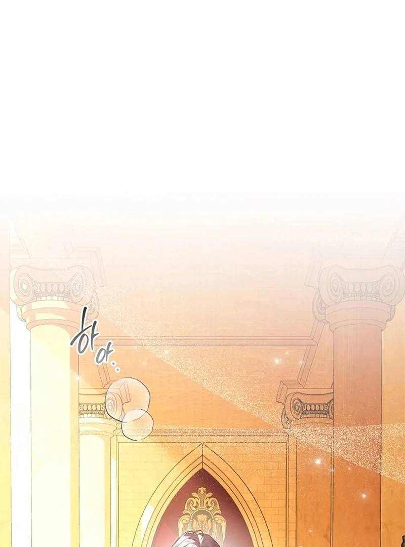 The Blooming Violet in the Back Garden Chapter 77 565 108