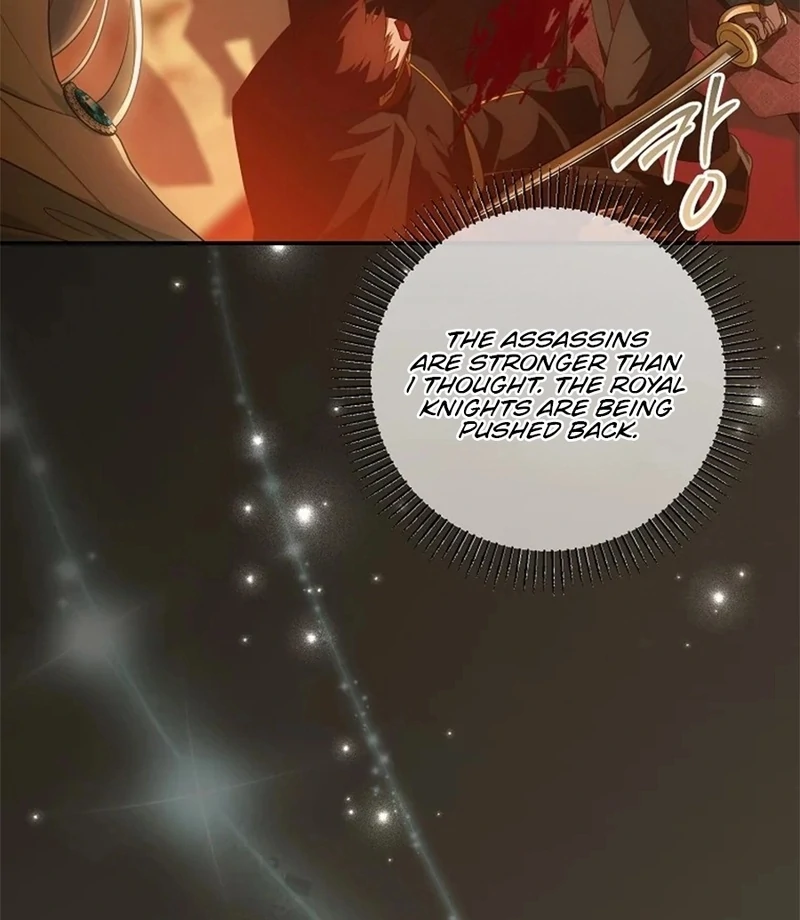 The Blooming Violet in the Back Garden Chapter 77 588 131