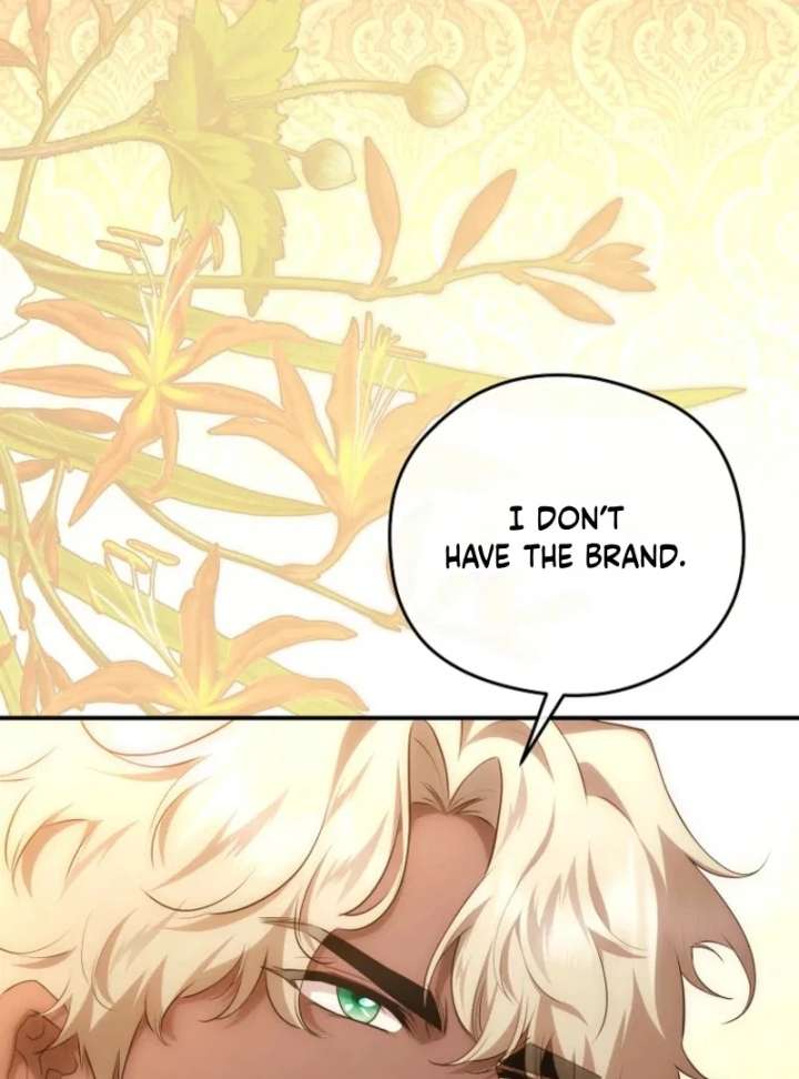 The Blooming Violet in the Back Garden Chapter 78 451 066