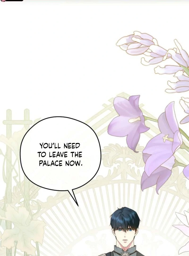 The Blooming Violet in the Back Garden Chapter 79 492 077