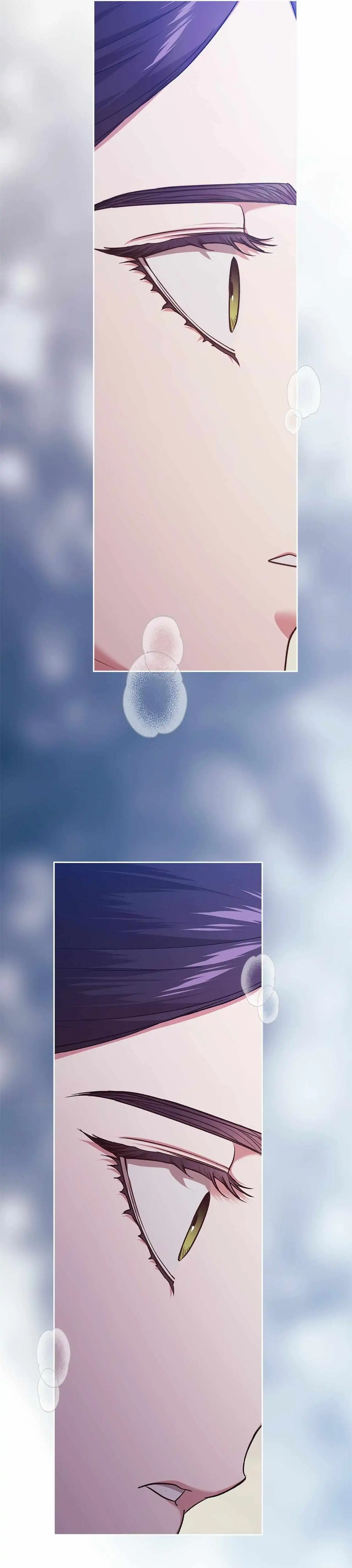 The Broken Ring: This Marriage Will Fail Anyway Chapter 95 268 ch 95 42