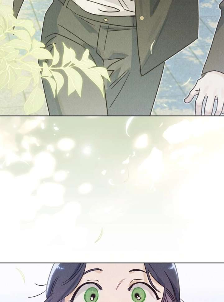 The Butterfly That Swallowed the Mist Chapter 14 304 24