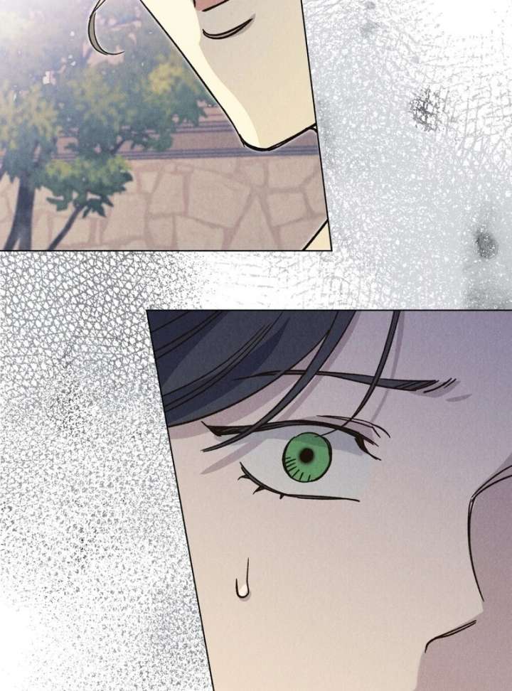 The Butterfly That Swallowed the Mist Chapter 14 348 68