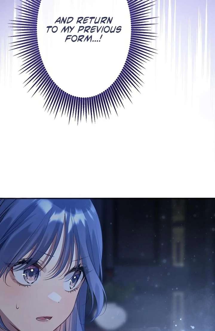 The Coldhearted Duke Is Obsessed With the Seal Princess Chapter 2 421 027