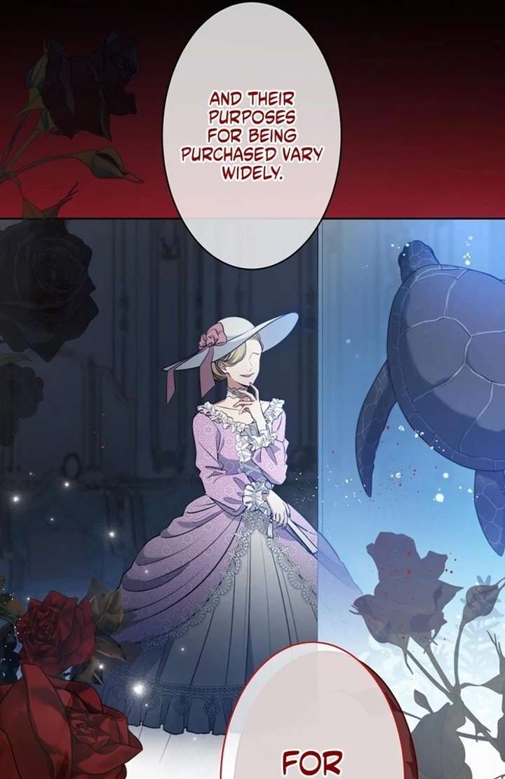 The Coldhearted Duke Is Obsessed With the Seal Princess Chapter 2 485 091