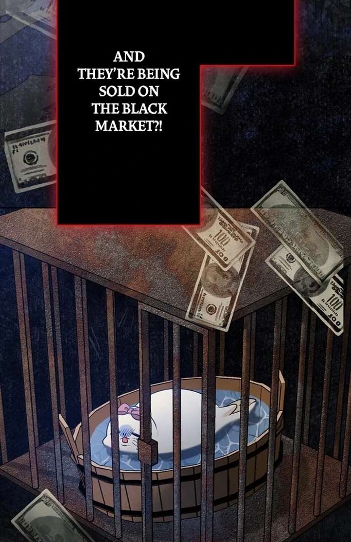 The Coldhearted Duke Is Obsessed With the Seal Princess Chapter 2 507 113