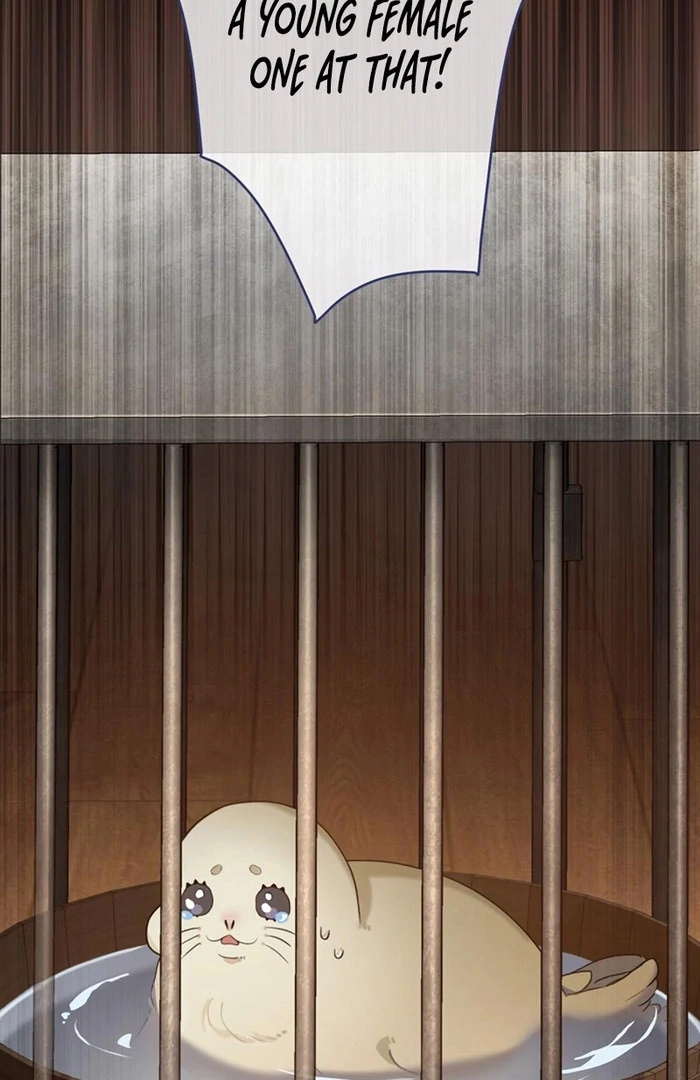 The Coldhearted Duke Is Obsessed With the Seal Princess Chapter 9 494 115