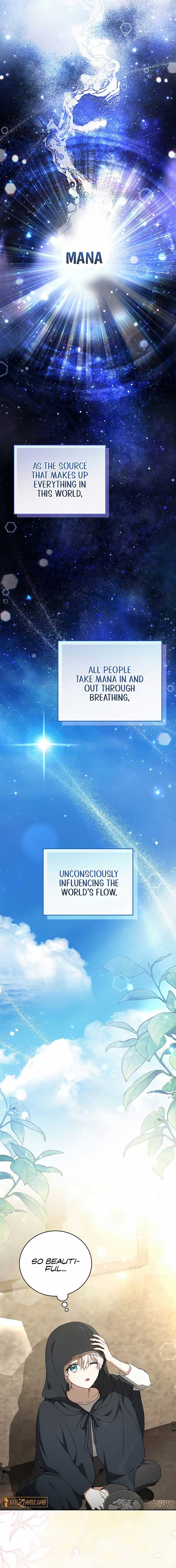 The Concept-Grasping Magical Genius Chapter 2 84 ch 2 5