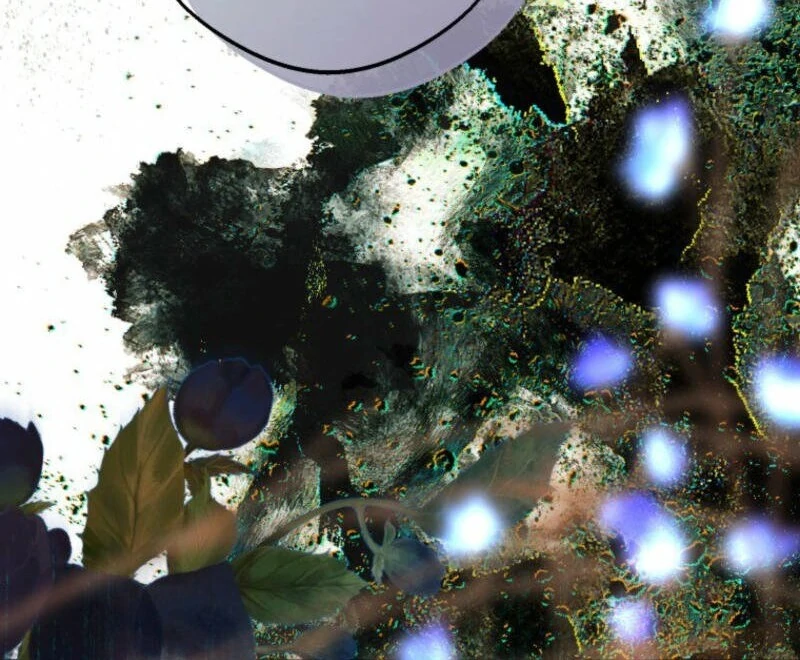 The Consequences of Messing with the Original Work Chapter 17 245 ch 17 34