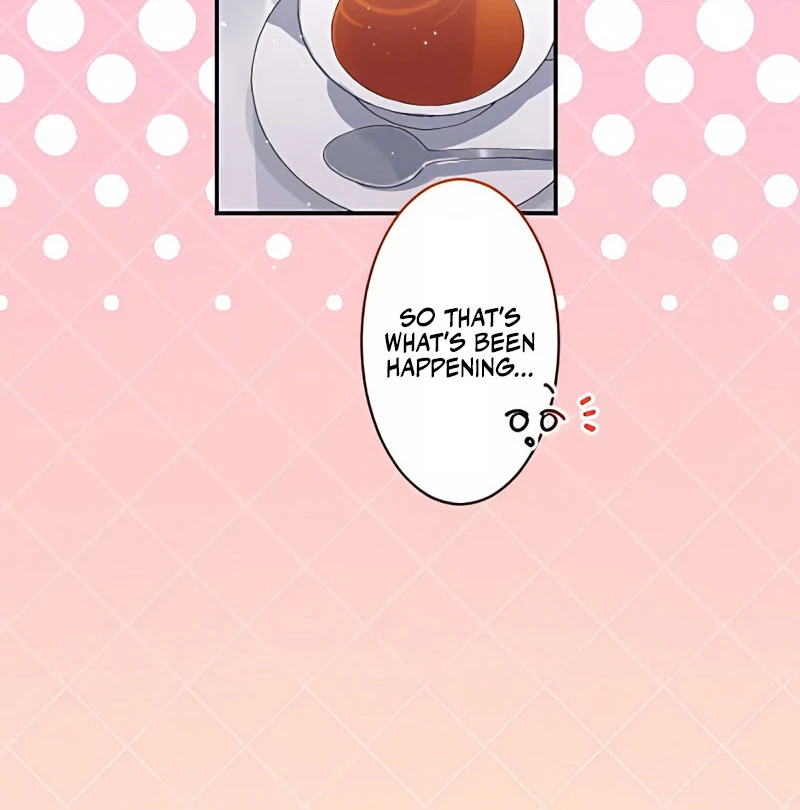 The Contract Bride Who Melted the Marquis’s Heart Chapter 9 432 071