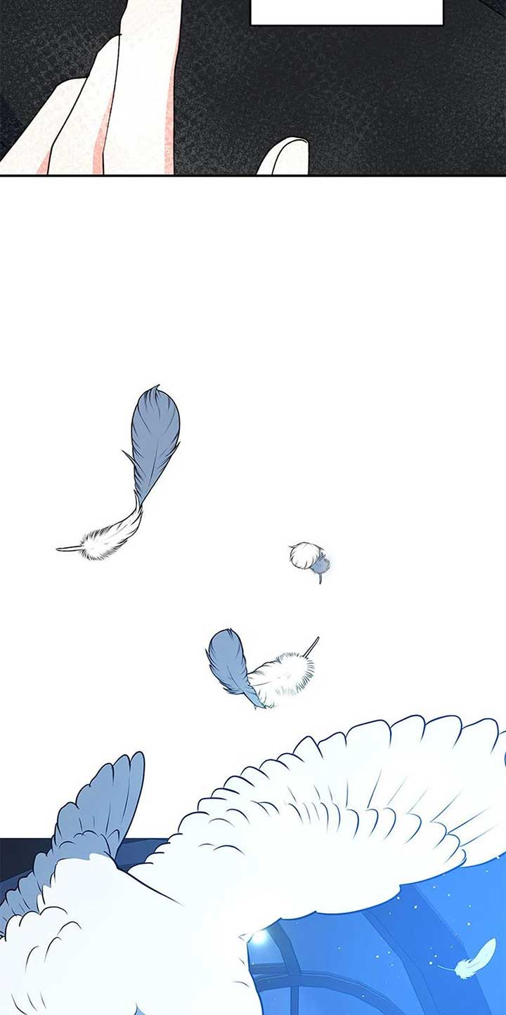 The Contract Couple: Ines & Kaisac Chapter 73 295 ch 73 18