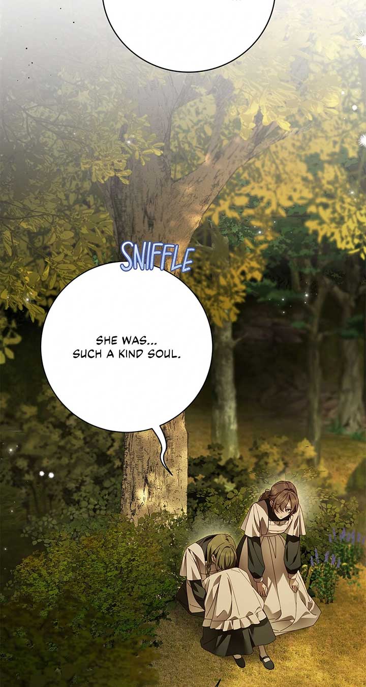 The Count’s Secret Maid Chapter 46 291 14