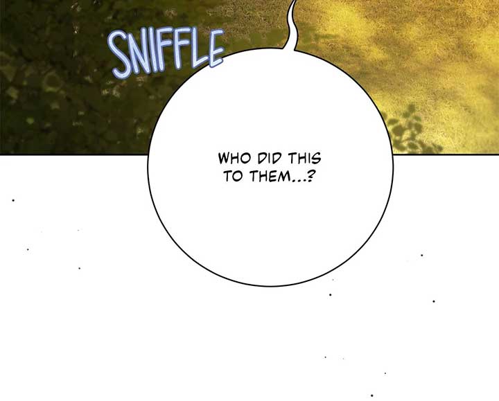 The Count’s Secret Maid Chapter 46 292 15