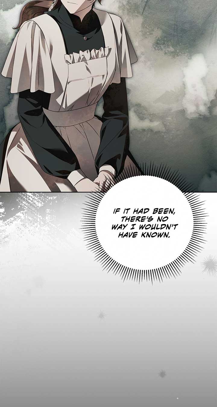 The Count’s Secret Maid Chapter 46 294 17